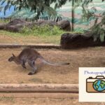 江戸川区自然動物園