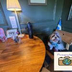 ATER Tokyo オーテルトウキョウ