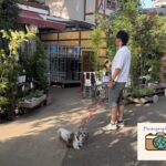 渋谷園芸 ＆ カフェレストラン樹藝夢