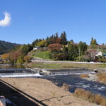 愛犬と行く秋川渓谷