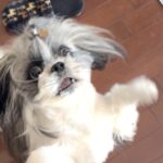 沖縄一人旅出発前夜