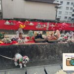 勝浦ビッグひな祭り