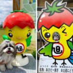 道の駅 季楽里あさひ