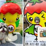 道の駅 季楽里あさひ