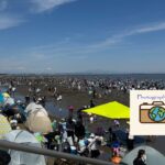 富津海岸 潮干狩り