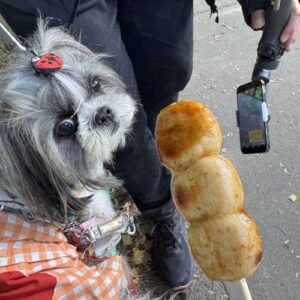 金ごまだんご