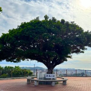 旧海軍司令壕ラストと海軍壕公園