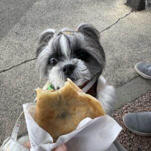たらし焼き