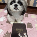 チョコレート和三盆