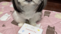 かまどパイ