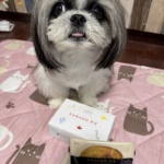 かまどパイ