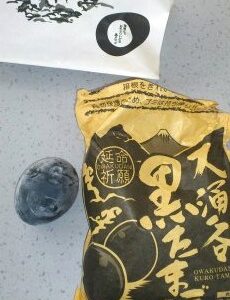 大涌谷黒たまご