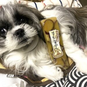 芋むし羊かん