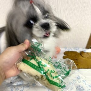 ネギパン
