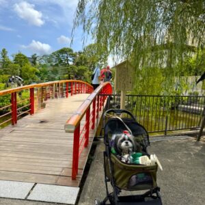 川崎大師風鈴市
