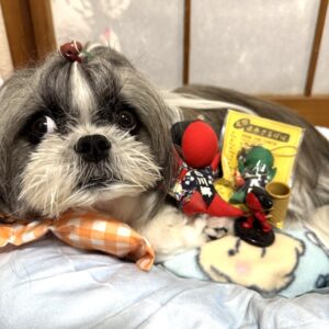 さるぼぼ
