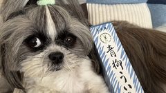 青柳ういろう