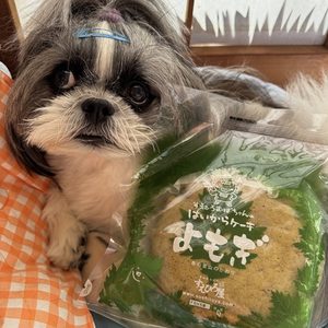すえひろおばちゃんのはいからケーキ