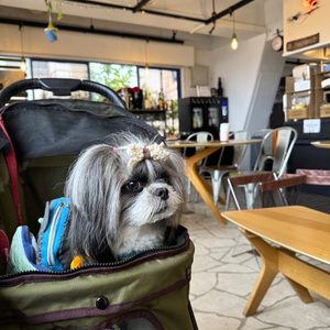 静岡県熱海市＊ブルーナインカフェ
