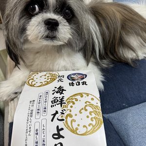 静岡のかまぼこ
