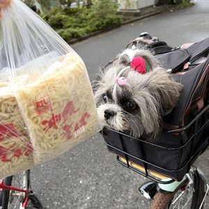 リトル沖縄オーバーシーズ