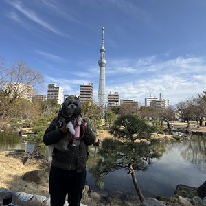 墨田区 隅田公園／牛嶋神社