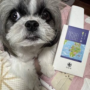 お茶チョコぐり茶