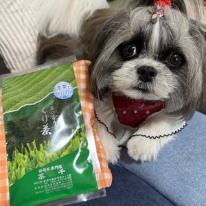 ぐり茶