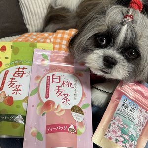 白桃麦茶・苺麦茶・さくら緑茶