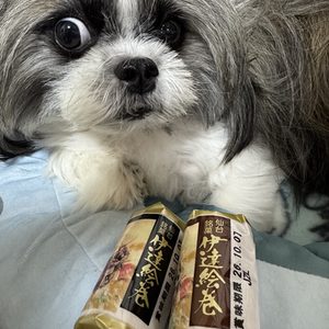 伊達絵巻