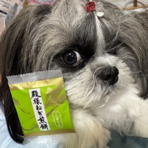 殿様ねぎ煎餅