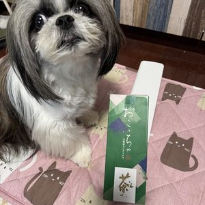 お濃茶ラングドシャ