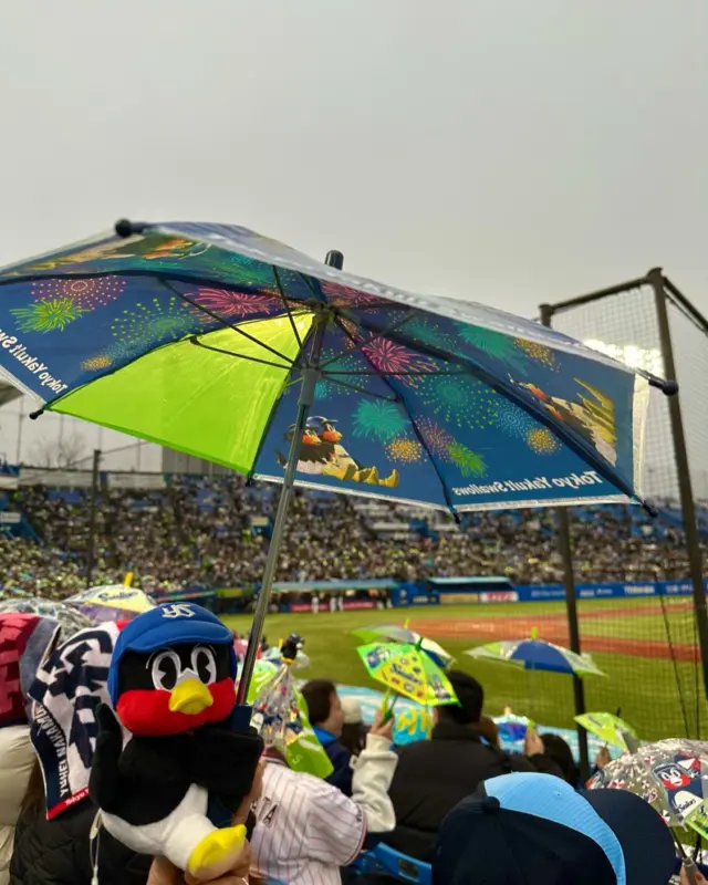 世間は東京ドームに集まってたけど、私は逆流して明治神宮球場！寒の戻りで寒かったけど行って良かった！

#明治神宮球場 #ヤクルトスワローズ #つば九郎 #新しい旅に出る準備はいつだって出来ている